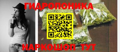 jwh Будённовск