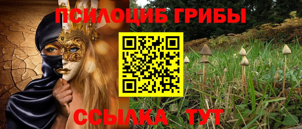 Галлюциногенные грибы Psilocybe  Вход с VPN  как найти   Новокуйбышевск 
